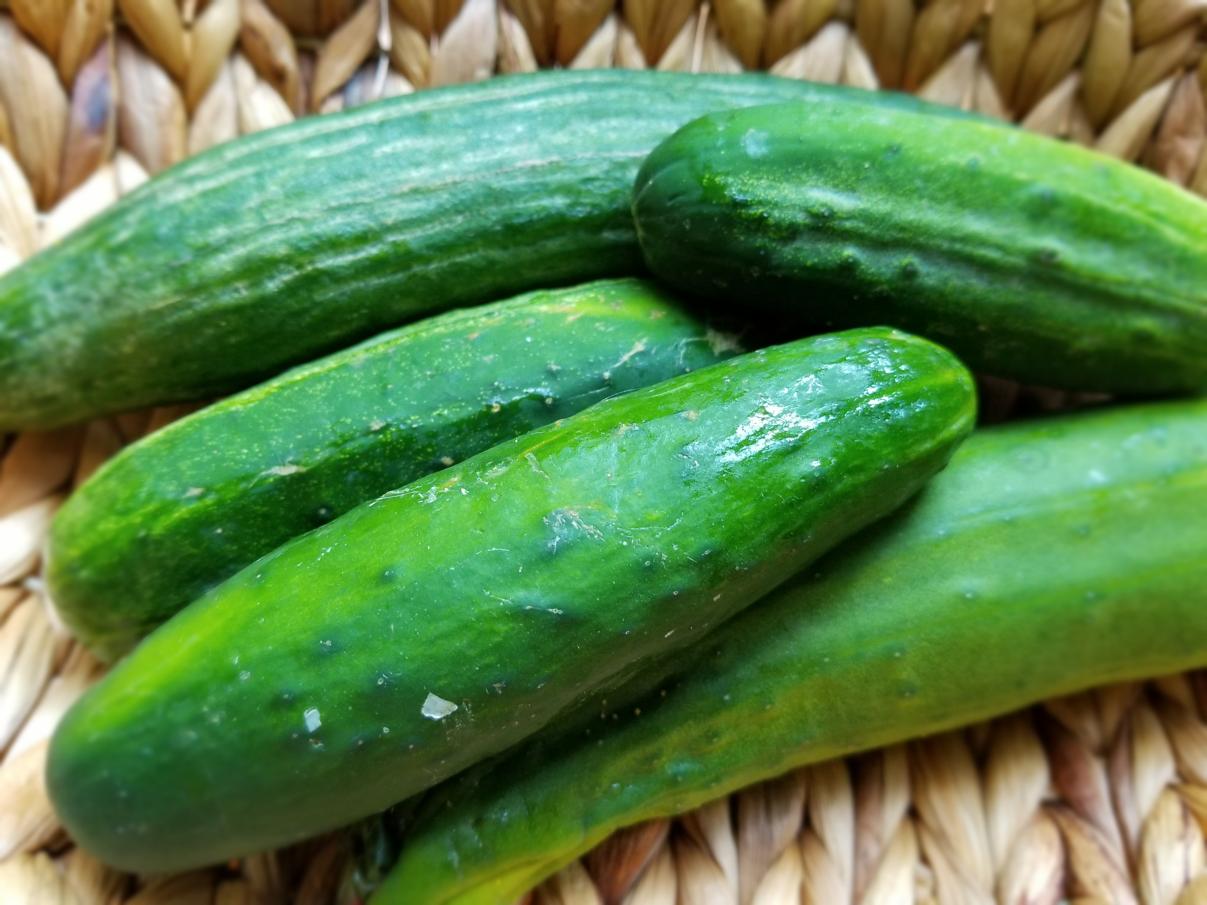 Spotlight on Cucumber