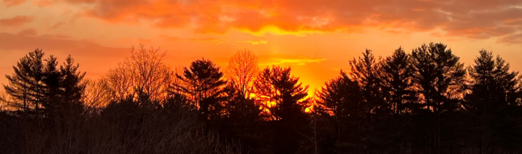 A vibrant orange sunrise coming over trees in Vermont.