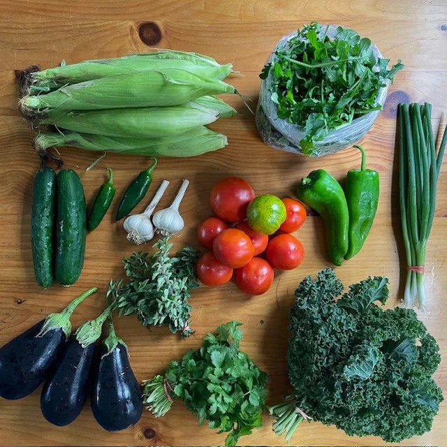 Vegetables displayed on a wooden table that will be included in a weekly CSA share from Mink Meadow Farm.