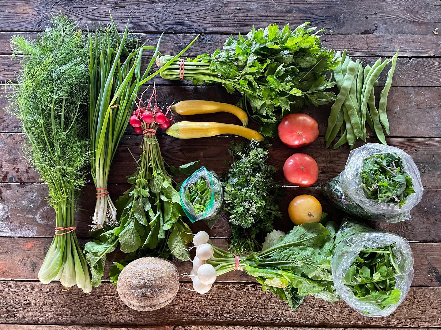 An array of fresh vegetables including greens, tomatos, squash, radishes, and a melon, laid out on a wooden table and photographed from above.