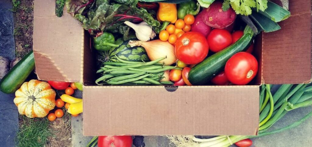 An open cardboard box of vegetables including tomatoes, green beans, an onion, zucchini, and greens