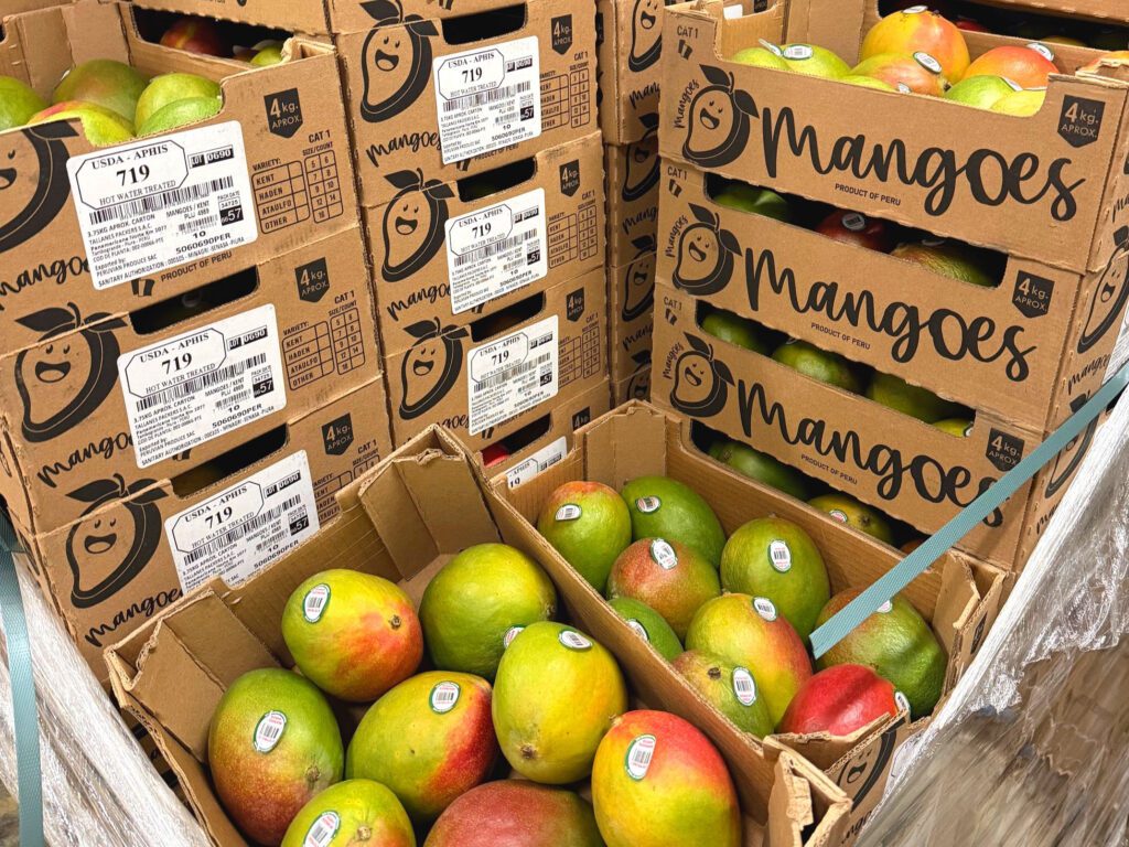 Stacked cardboard crates of fresh mangos.