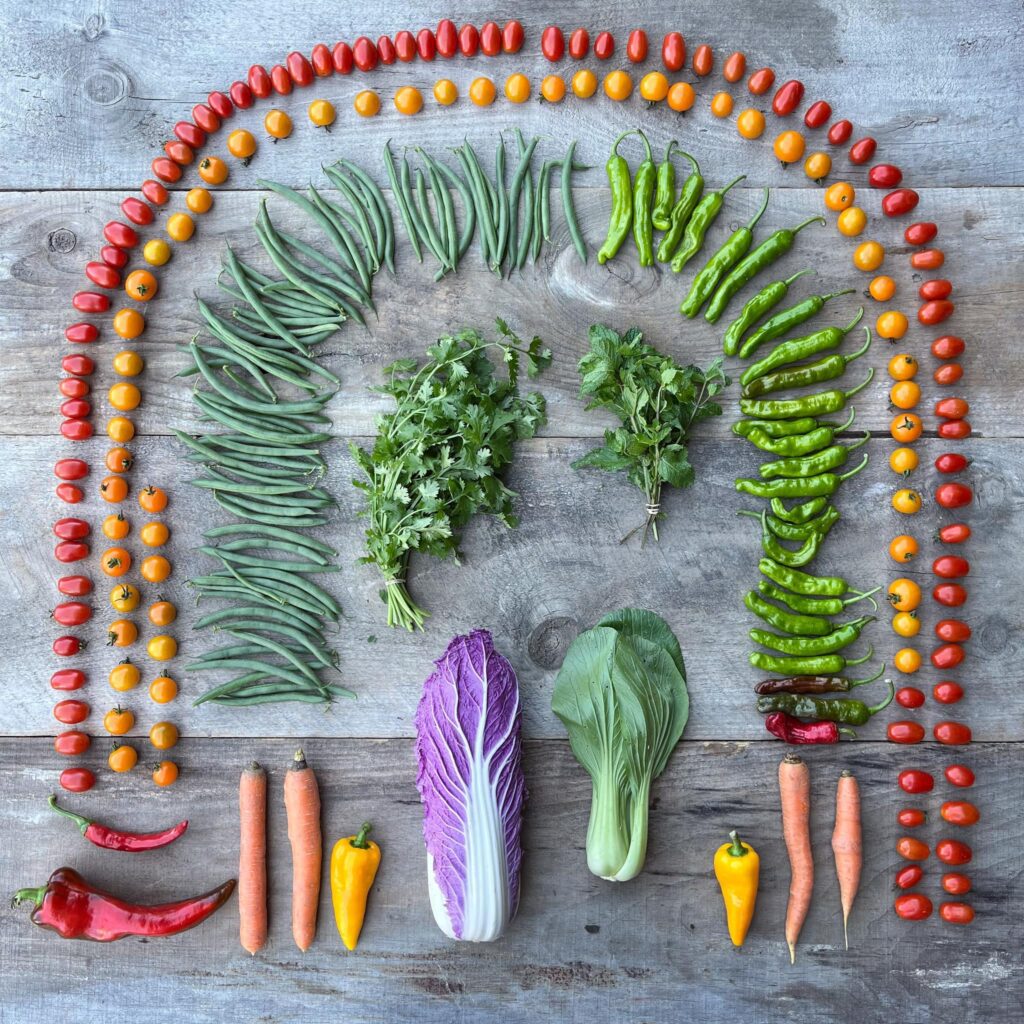 Vegetables displayed in a colorful rainbow design, made up of cherry tomatoes, peppers, herbs, radicchio, carrots, and bok choy