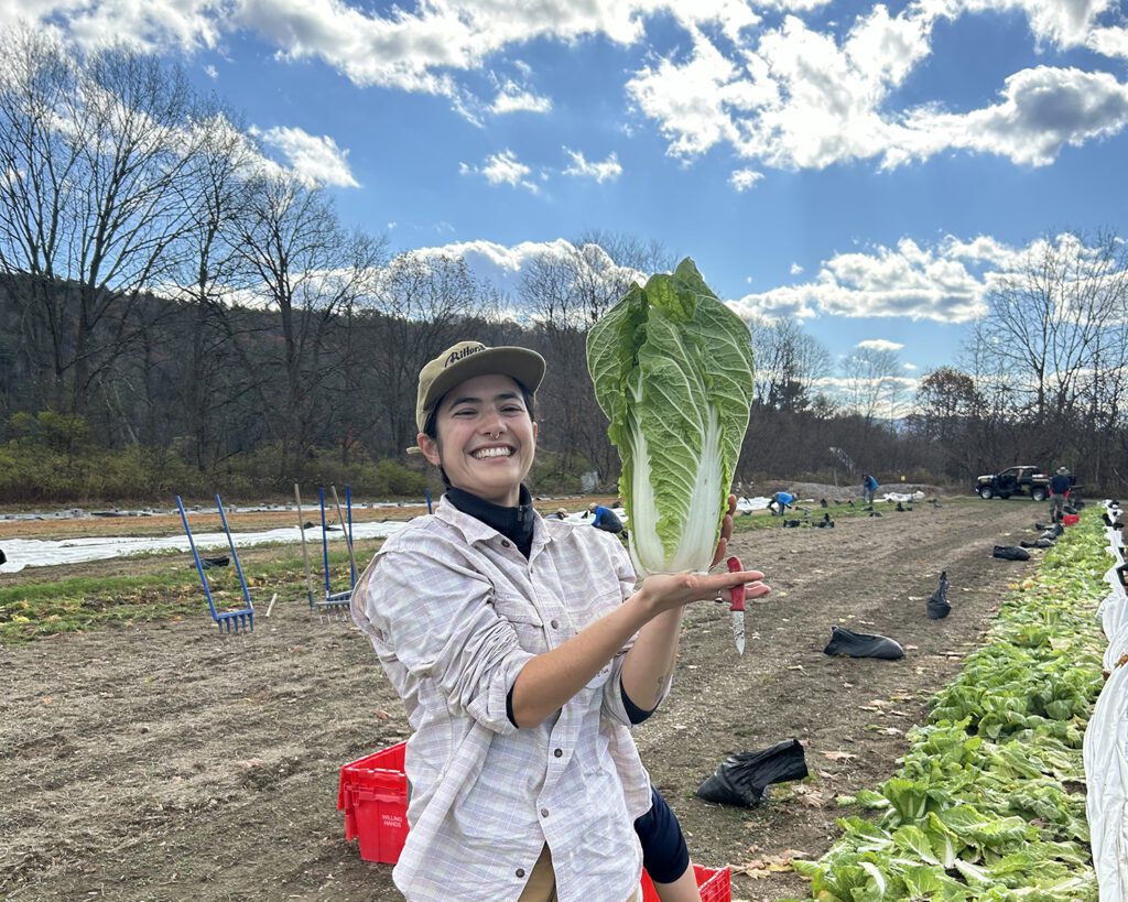 A young woman sanding in a farm field holding a head of bok choy.