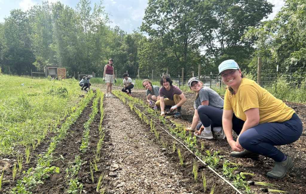 Seven people crouched down in a garden row of seedlings smile at the camera.