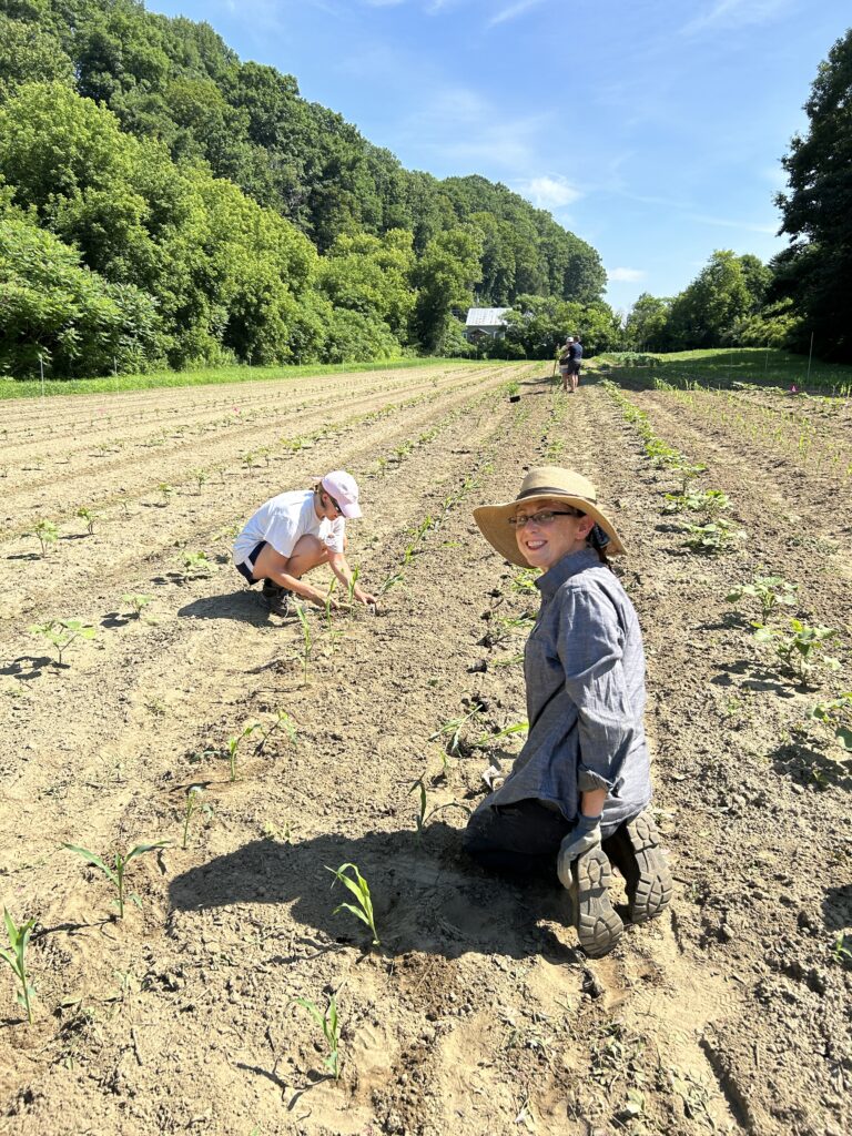 Two women crouch in a farm field, planting corn seedlings