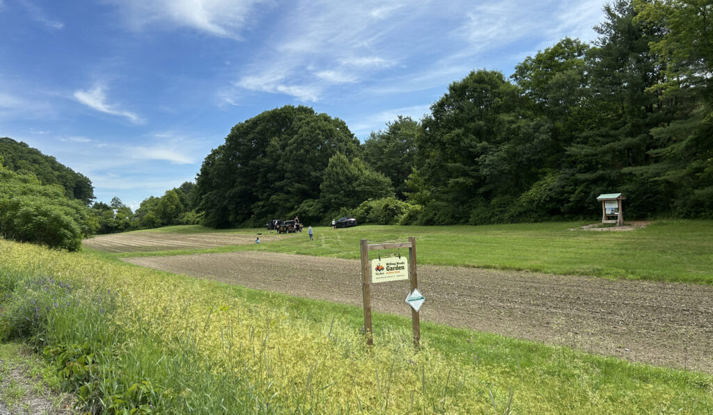 A farm field, with trees and blue sky in the background, and a sign reading "willing hands garden"