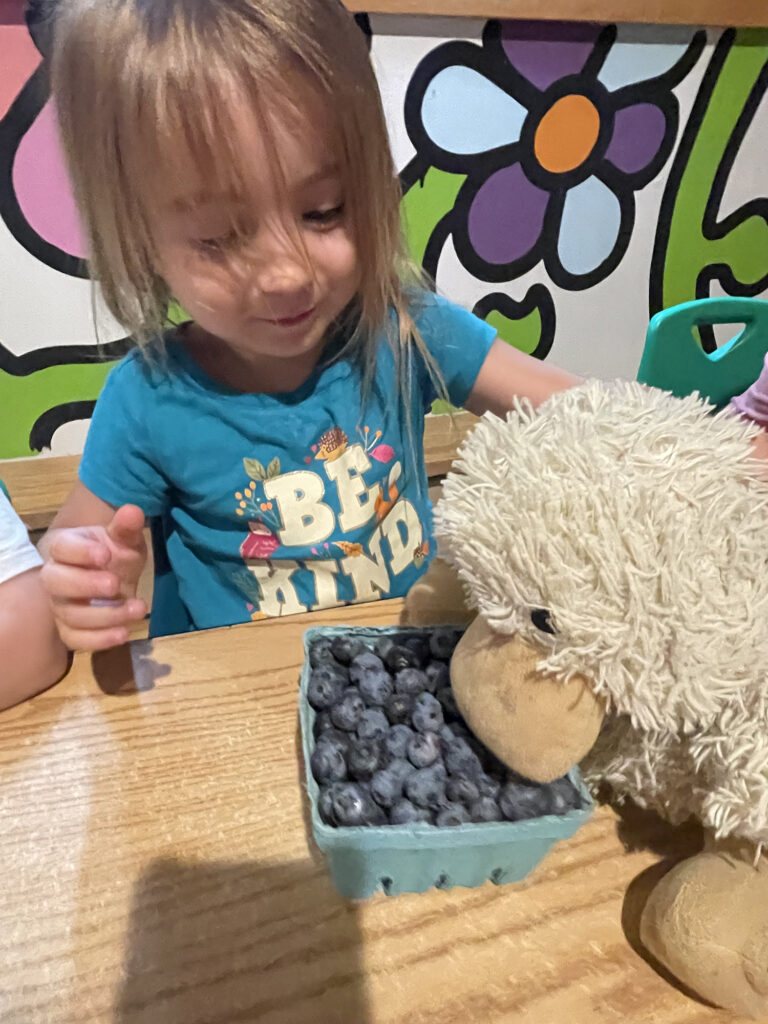 A small child in a blue teeshirt feeds blueberries to her stuffed duck toy