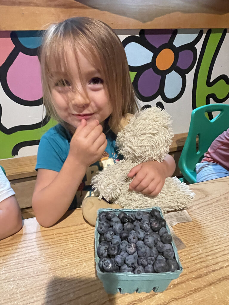 A small child in a blue teeshirt eats a blueberry while holding her stuffed duck toy