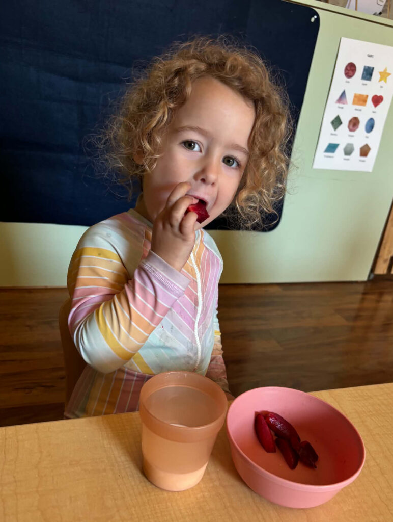 ECE Grant - oct 20265 Little girl with pale skin and curly hair tries a piece of plum from a pink plastic bowl in front of her